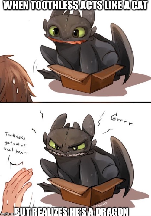 WHEN TOOTHLESS ACTS LIKE A CAT; BUT REALIZES HE’S A DRAGON | image tagged in this dragon is stupid | made w/ Imgflip meme maker