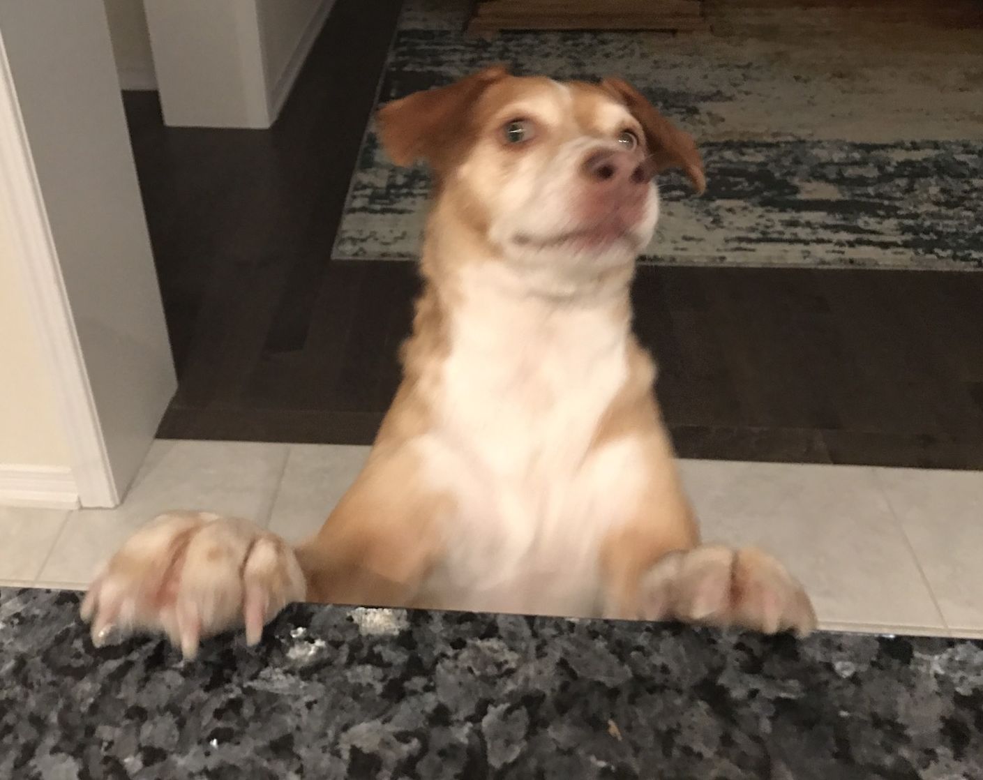 High Quality Plot twist Blank Meme Template