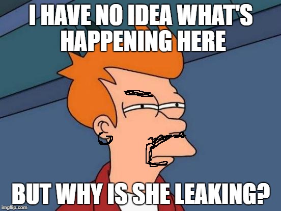 Futurama Fry Meme | I HAVE NO IDEA WHAT'S HAPPENING HERE; BUT WHY IS SHE LEAKING? | image tagged in memes,futurama fry | made w/ Imgflip meme maker
