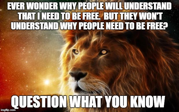 EVER WONDER WHY PEOPLE WILL UNDERSTAND THAT I NEED TO BE FREE.  BUT THEY WON'T  UNDERSTAND WHY PEOPLE NEED TO BE FREE? QUESTION WHAT YOU KNOW | image tagged in state of mind | made w/ Imgflip meme maker