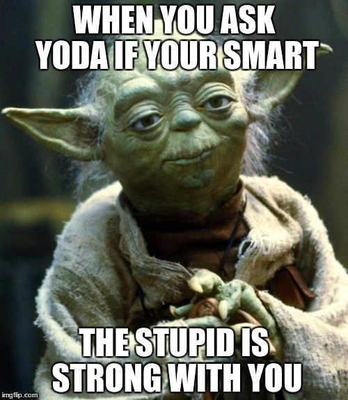 Star Wars Yoda Meme | WHEN YOU ASK YODA IF YOUR SMART; THE STUPID IS STRONG WITH YOU | image tagged in memes,star wars yoda | made w/ Imgflip meme maker