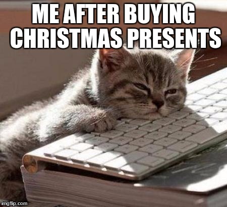 tired cat |  ME AFTER BUYING CHRISTMAS PRESENTS | image tagged in tired cat | made w/ Imgflip meme maker