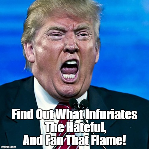 Trump's MO: "Find Out What Infuriates The Hateful And Fan That Flame!" | Find Out What Infuriates The Hateful, And Fan That Flame! | image tagged in deplorable donald,despicable donald,dishonorable donald,devious donald,deceitful donald,dishonest donald | made w/ Imgflip meme maker