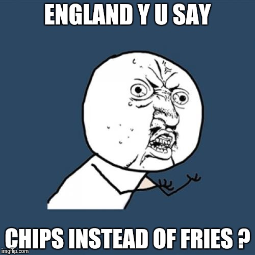 Y U No Meme | ENGLAND Y U SAY CHIPS INSTEAD OF FRIES ? | image tagged in memes,y u no | made w/ Imgflip meme maker