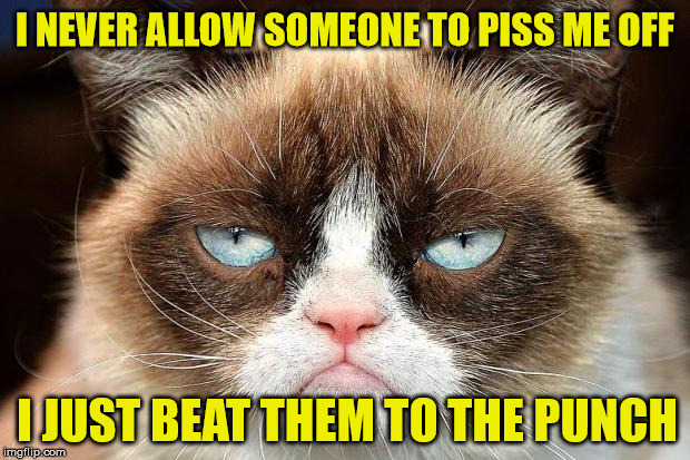 I Learned From Grumpy Cat | I NEVER ALLOW SOMEONE TO PISS ME OFF; I JUST BEAT THEM TO THE PUNCH | image tagged in memes,grumpy cat not amused,grumpy cat | made w/ Imgflip meme maker