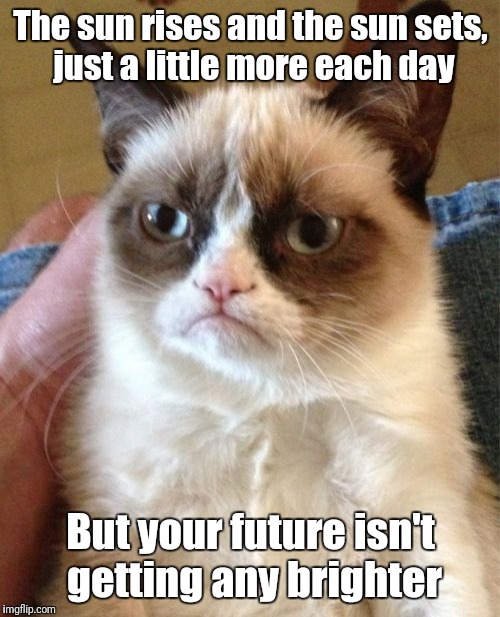 Grumpy Cat Meme | The sun rises and the sun sets, just a little more each day But your future isn't getting any brighter | image tagged in memes,grumpy cat | made w/ Imgflip meme maker