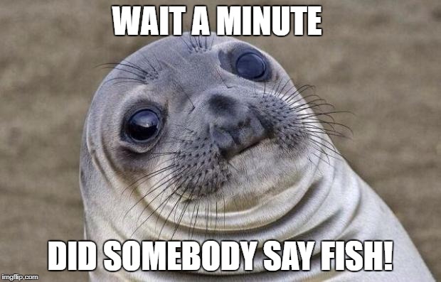 Awkward Moment Sealion Meme | WAIT A MINUTE; DID SOMEBODY SAY FISH! | image tagged in memes,awkward moment sealion | made w/ Imgflip meme maker