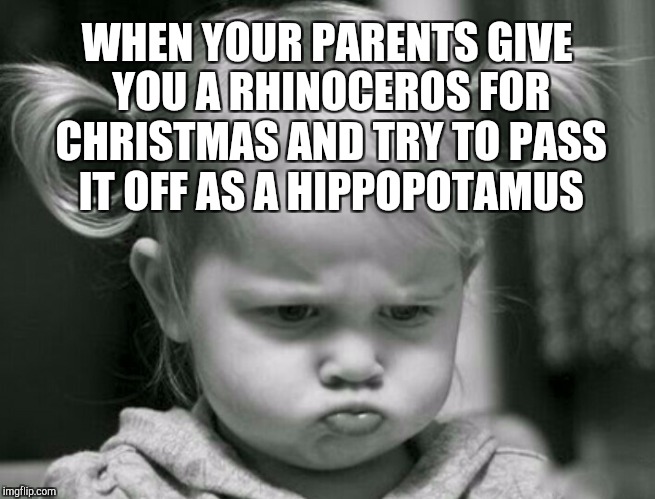 I want a hippopotamus for Christmas.
Only a hippopotamus will do!
No crocodiles, no rhinosauruses;
I only likes hippopotamuses! | WHEN YOUR PARENTS GIVE YOU A RHINOCEROS FOR CHRISTMAS AND TRY TO PASS IT OFF AS A HIPPOPOTAMUS | image tagged in jbmemegeek,i want a hippopotamus,christmas,christmas memes,memes,cute kids | made w/ Imgflip meme maker