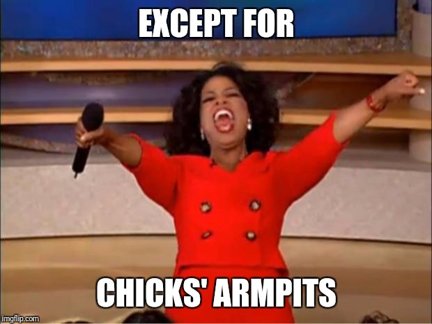 Oprah You Get A Meme | EXCEPT FOR CHICKS' ARMPITS | image tagged in memes,oprah you get a | made w/ Imgflip meme maker