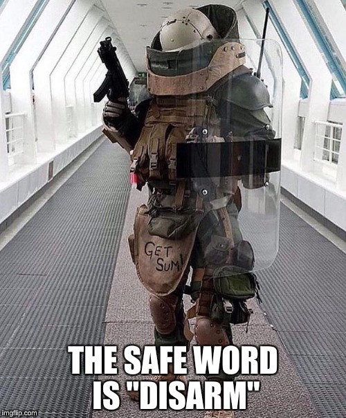 I'll disarm your bomb for you. | THE SAFE WORD IS "DISARM" | image tagged in funny | made w/ Imgflip meme maker