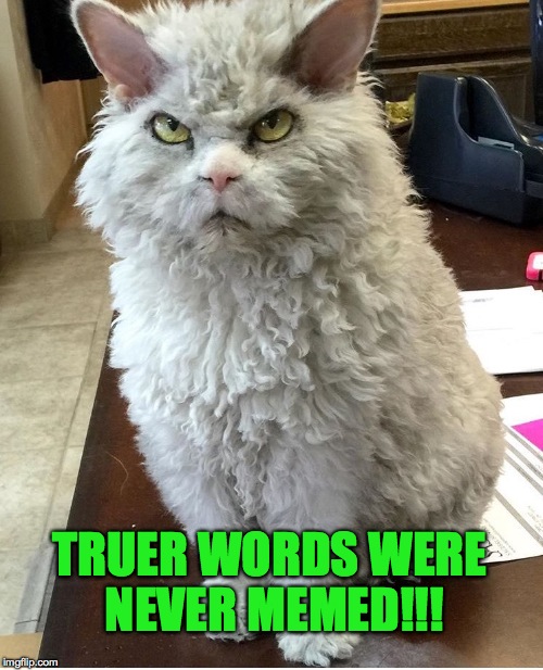 TRUER WORDS WERE NEVER MEMED!!! | image tagged in pompous albert | made w/ Imgflip meme maker
