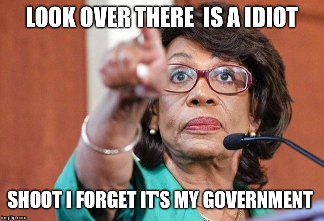 dumbass maxine waters | LOOK OVER THERE  IS A IDIOT; SHOOT I FORGET IT'S MY GOVERNMENT | image tagged in dumbass maxine waters | made w/ Imgflip meme maker