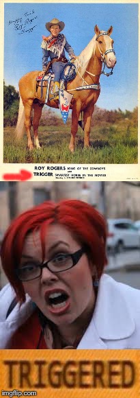 Good horsey. | ---> | image tagged in memes,triggered | made w/ Imgflip meme maker
