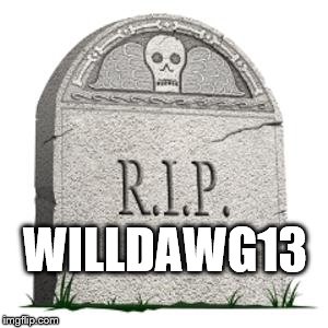grave | WILLDAWG13 | image tagged in grave | made w/ Imgflip meme maker