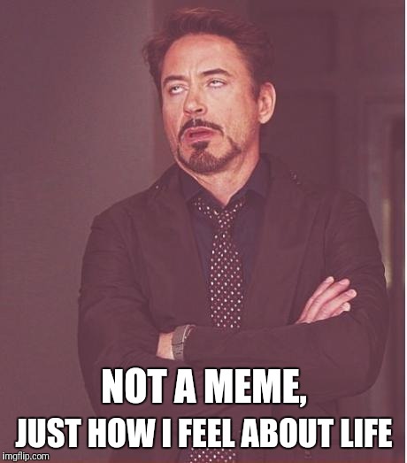 Face You Make Robert Downey Jr Meme | NOT A MEME, JUST HOW I FEEL ABOUT LIFE | image tagged in memes,face you make robert downey jr | made w/ Imgflip meme maker