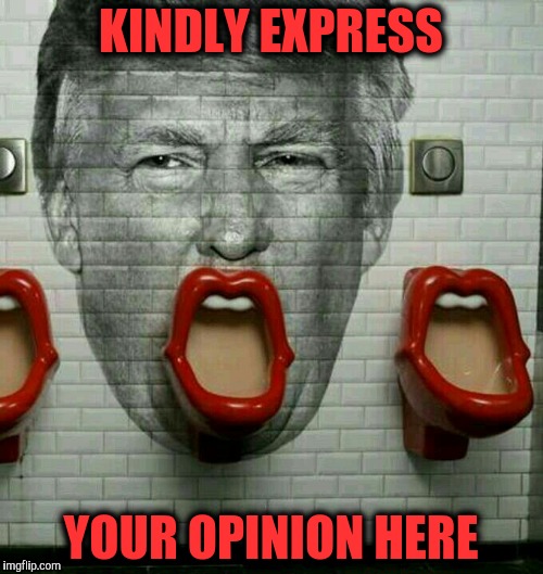 Donald Trump Urinal | KINDLY EXPRESS YOUR OPINION HERE | image tagged in donald trump urinal | made w/ Imgflip meme maker