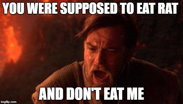 You Were The Chosen One (Star Wars) | YOU WERE SUPPOSED TO EAT RAT; AND DON'T EAT ME | image tagged in memes,you were the chosen one star wars | made w/ Imgflip meme maker