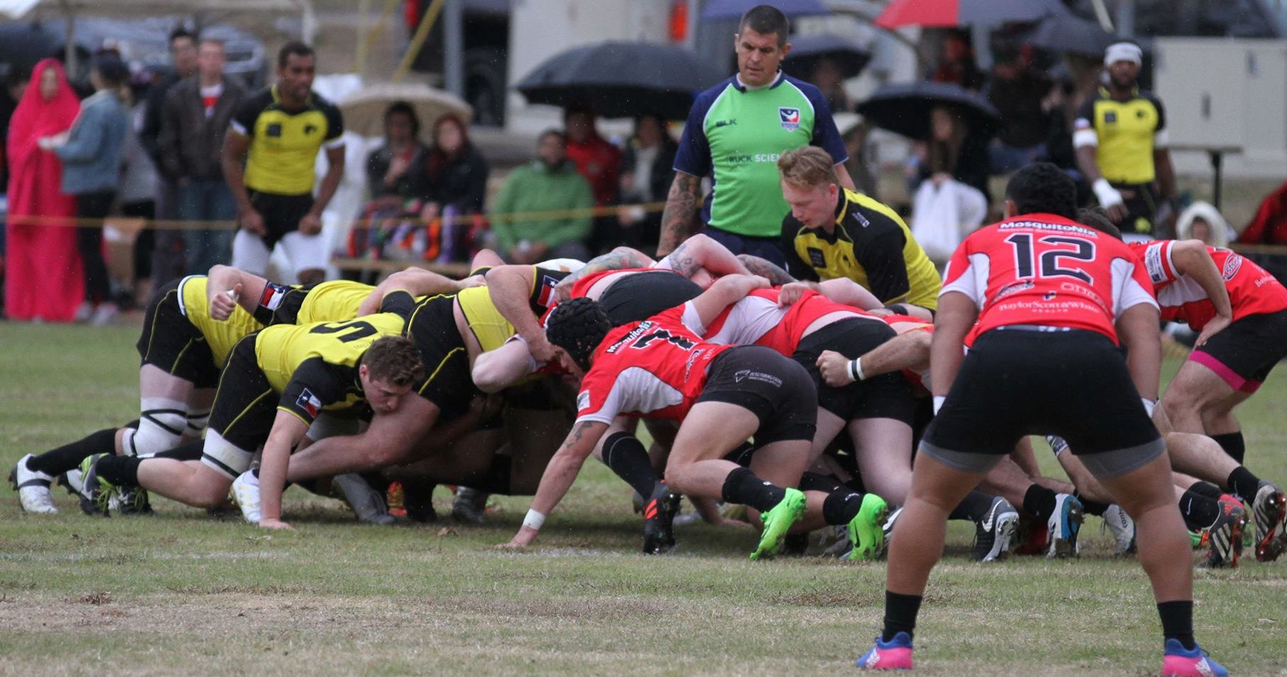 Cats Scrum v Reds Blank Meme Template