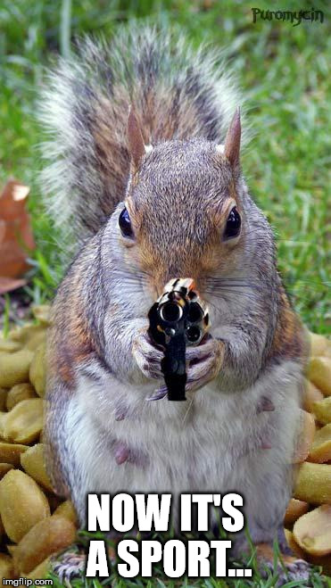 funny squirrels with guns (5) | NOW IT'S A SPORT... | image tagged in funny squirrels with guns 5 | made w/ Imgflip meme maker