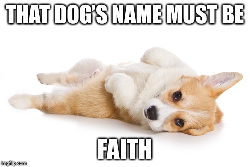 Give me a belly rub | THAT DOG’S NAME MUST BE FAITH | image tagged in give me a belly rub | made w/ Imgflip meme maker