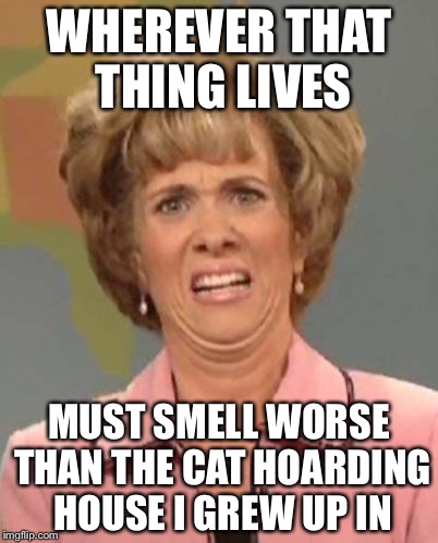 WHEREVER THAT THING LIVES MUST SMELL WORSE THAN THE CAT HOARDING HOUSE I GREW UP IN | made w/ Imgflip meme maker