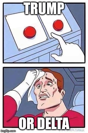 21ki2z.jpg