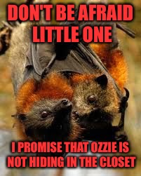 DON'T BE AFRAID LITTLE ONE I PROMISE THAT OZZIE IS NOT HIDING IN THE CLOSET | made w/ Imgflip meme maker