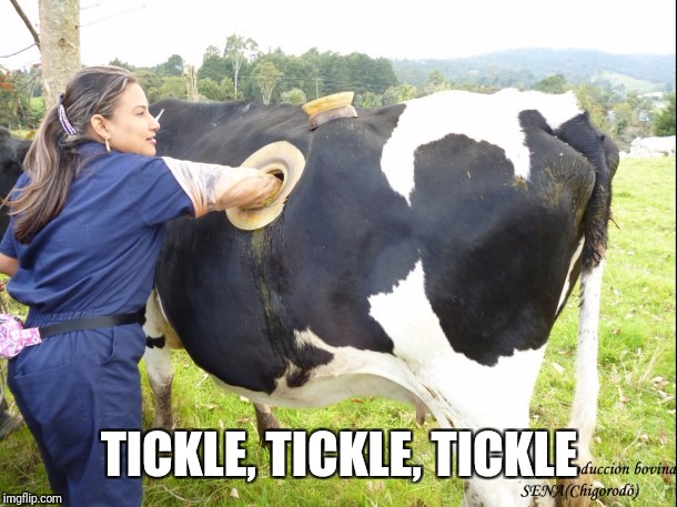 TICKLE, TICKLE, TICKLE | made w/ Imgflip meme maker
