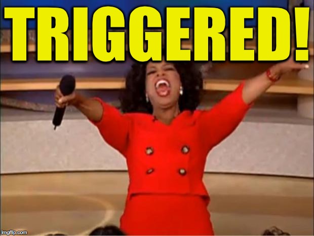 Oprah You Get A Meme | TRIGGERED! | image tagged in memes,oprah you get a | made w/ Imgflip meme maker