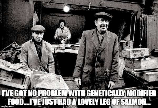I'VE GOT NO PROBLEM WITH GENETICALLY MODIFIED FOOD....I'VE JUST HAD A LOVELY LEG OF SALMON... | image tagged in fish | made w/ Imgflip meme maker