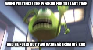 WHEN YOU TEASE THE WEABOO FOR THE LAST TIME; AND HE PULLS OUT TWO KATANAS FROM HIS BAG | image tagged in anime,weaboo,mike wazowski,funny memes | made w/ Imgflip meme maker