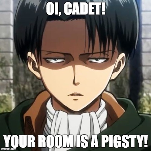 Levi | OI, CADET! YOUR ROOM IS A PIGSTY! | image tagged in levi | made w/ Imgflip meme maker