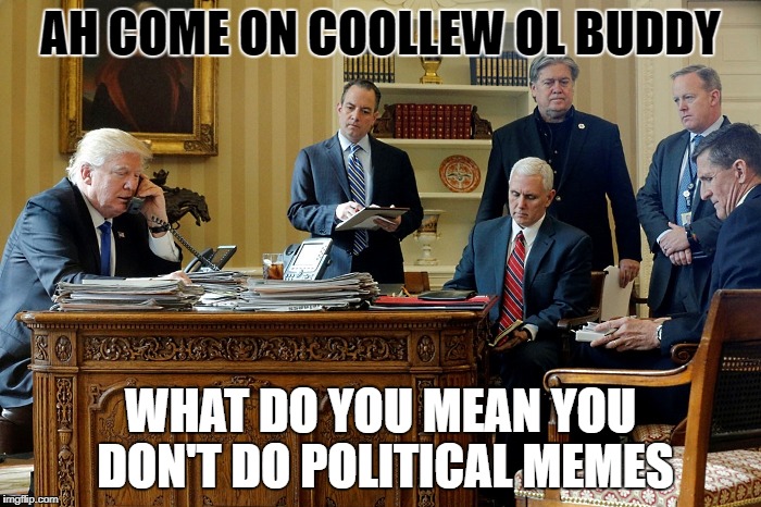 i don't do political memes | AH COME ON COOLLEW OL BUDDY; WHAT DO YOU MEAN YOU DON'T DO POLITICAL MEMES | image tagged in donald trump memes | made w/ Imgflip meme maker