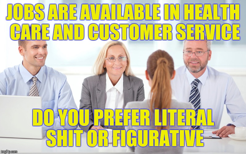 Job market right now | JOBS ARE AVAILABLE IN HEALTH CARE AND CUSTOMER SERVICE; DO YOU PREFER LITERAL SHIT OR FIGURATIVE | image tagged in job interviewer | made w/ Imgflip meme maker