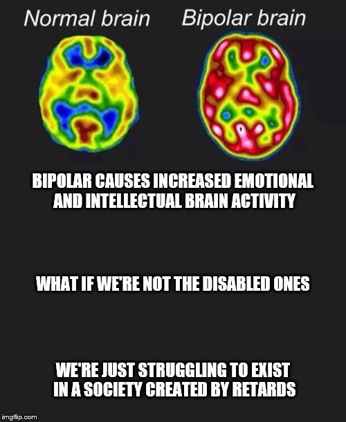 Like comparing a V4 to a V8 | BIPOLAR CAUSES INCREASED EMOTIONAL AND INTELLECTUAL BRAIN ACTIVITY; WHAT IF WE'RE NOT THE DISABLED ONES; WE'RE JUST STRUGGLING TO EXIST IN A SOCIETY CREATED BY RETARDS | image tagged in bipolar,normal,wtf,society,philosoraptor | made w/ Imgflip meme maker