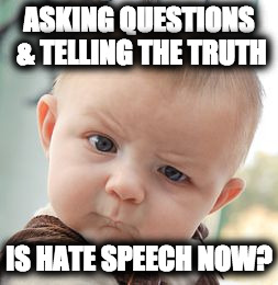 Skeptical Baby | ASKING QUESTIONS & TELLING THE TRUTH; IS HATE SPEECH NOW? | image tagged in memes,skeptical baby | made w/ Imgflip meme maker