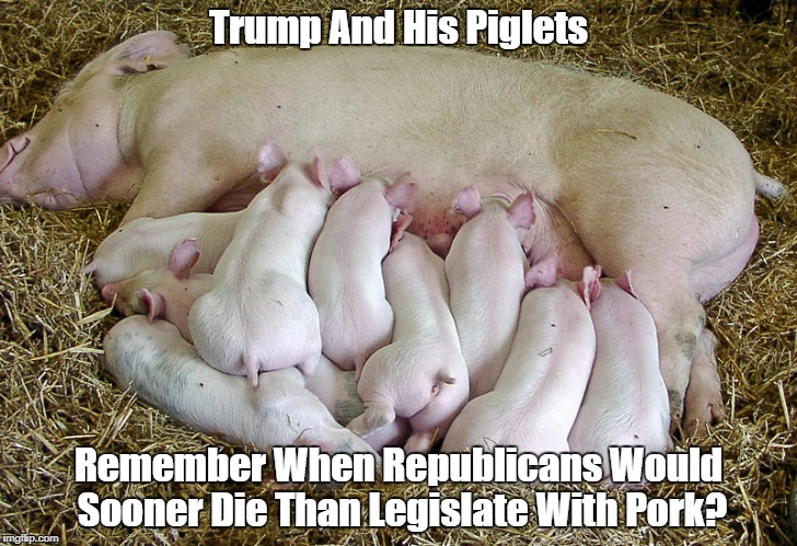 "Trump And His Piglets" | Trump And His Piglets; Remember When Republicans Would Sooner Die Than Legislate With Pork? | image tagged in deplorable donald,despicable donald,devious donald,dishonorable donald,deceitful donald,mafia don | made w/ Imgflip meme maker