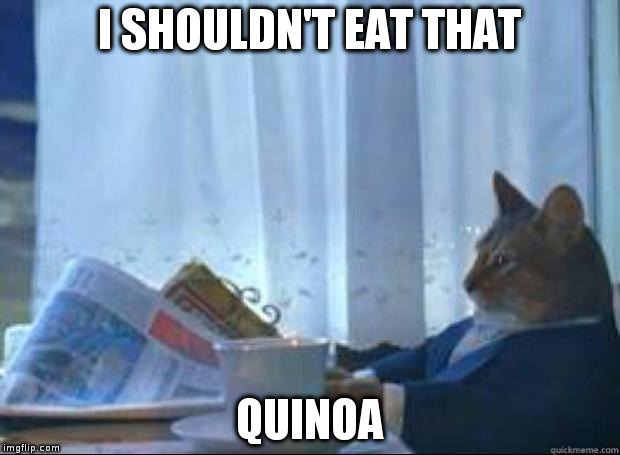 I should buy cat | I SHOULDN'T EAT THAT; QUINOA | image tagged in i should buy cat | made w/ Imgflip meme maker