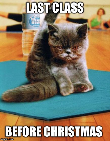 yoga cat |  LAST CLASS; BEFORE CHRISTMAS | image tagged in yoga cat | made w/ Imgflip meme maker