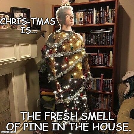 Xmas Pine Trek | CHRIS-TMAS IS... THE FRESH SMELL OF PINE IN THE HOUSE. | image tagged in christmas,star trek,funny | made w/ Imgflip meme maker