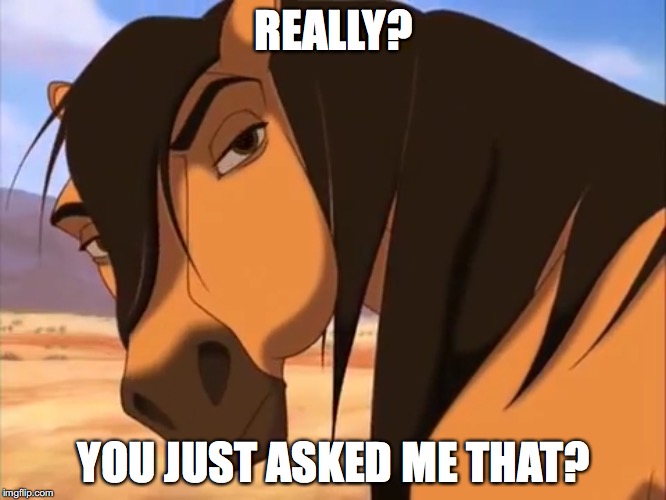 Spirit  | REALLY? YOU JUST ASKED ME THAT? | image tagged in horses | made w/ Imgflip meme maker