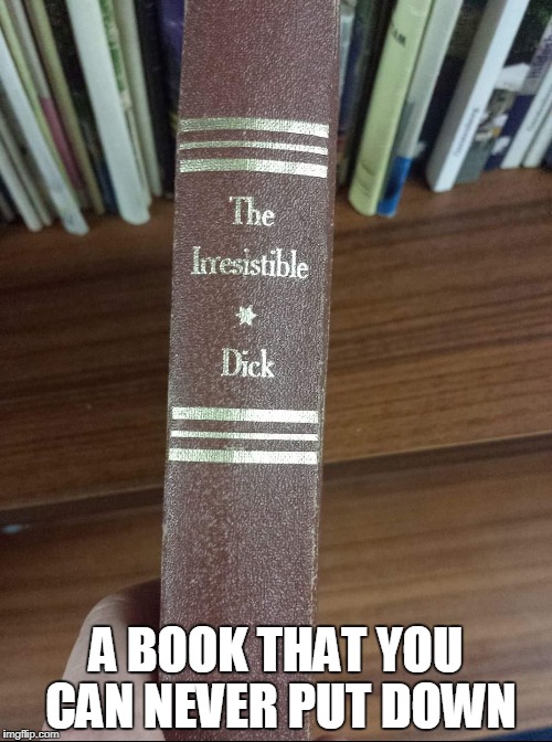 A book that you can never put down | A BOOK THAT YOU CAN NEVER PUT DOWN | image tagged in dick,funny,funny memes | made w/ Imgflip meme maker