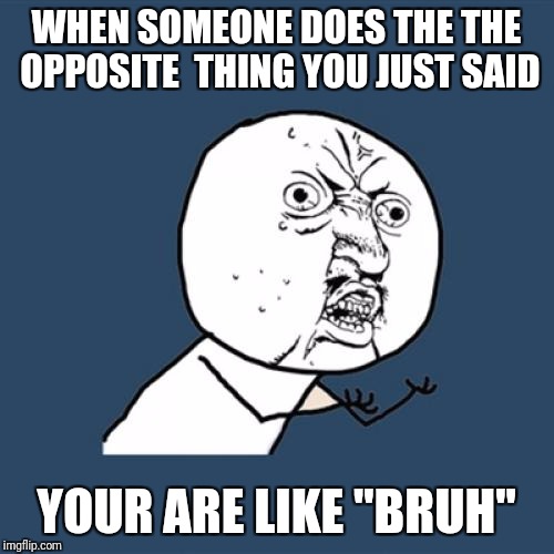 Y U No Meme | WHEN SOMEONE DOES THE THE OPPOSITE  THING YOU JUST SAID; YOUR ARE LIKE ''BRUH'' | image tagged in memes,y u no | made w/ Imgflip meme maker
