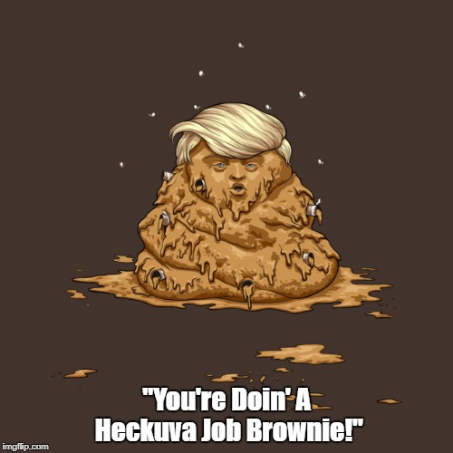 "You're Doin' A Heckuva Job Brownie!" | made w/ Imgflip meme maker