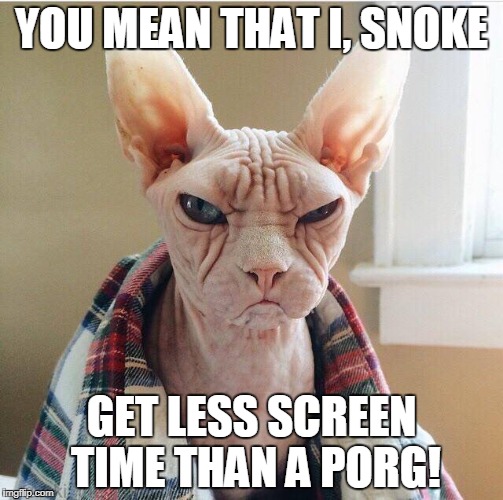 Angry hairless cat | YOU MEAN THAT I, SNOKE; GET LESS SCREEN TIME THAN A PORG! | image tagged in angry hairless cat | made w/ Imgflip meme maker