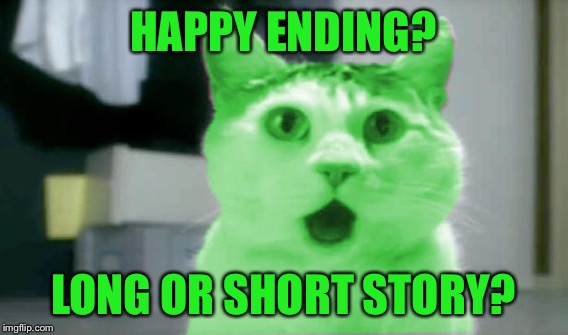 HAPPY ENDING? LONG OR SHORT STORY? | made w/ Imgflip meme maker