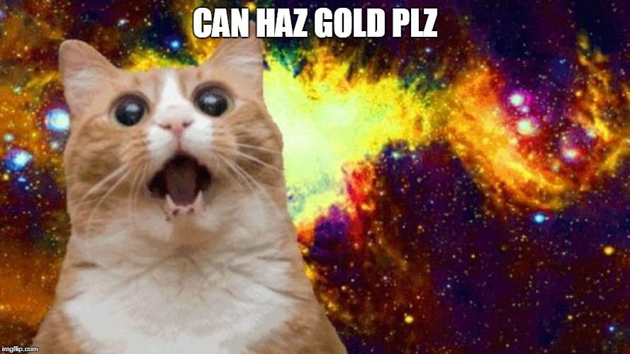 I Can Haz Meme | CAN HAZ GOLD PLZ | image tagged in i can haz meme | made w/ Imgflip meme maker