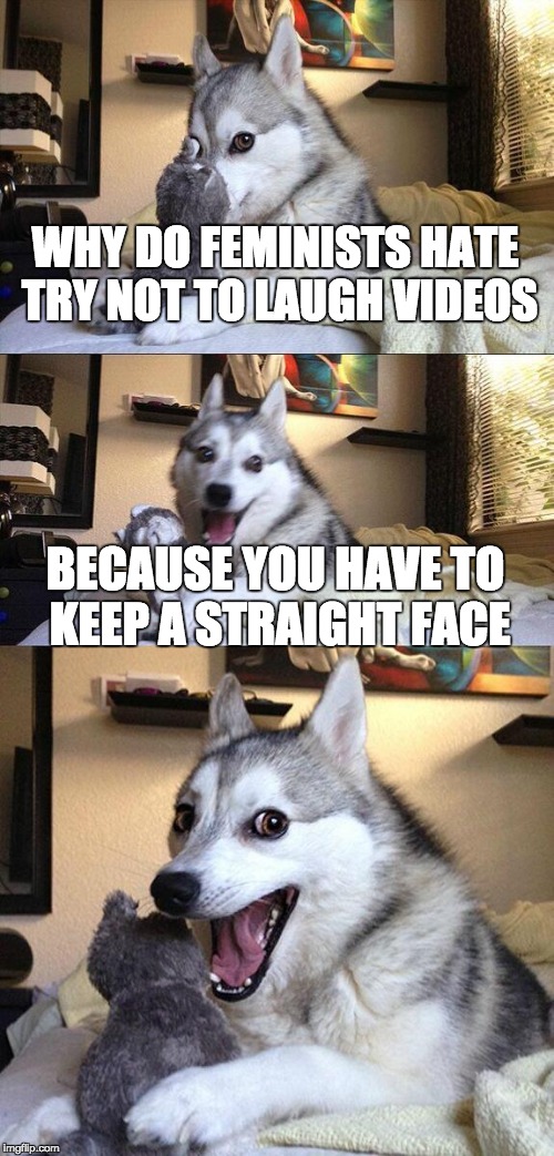 Bad Pun Dog Meme | WHY DO FEMINISTS HATE TRY NOT TO LAUGH VIDEOS; BECAUSE YOU HAVE TO KEEP A STRAIGHT FACE | image tagged in memes,bad pun dog | made w/ Imgflip meme maker