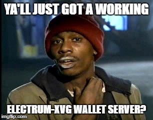Y'all Got Any More Of That Meme | YA'LL JUST GOT A WORKING; ELECTRUM-XVG WALLET SERVER? | image tagged in memes,yall got any more of | made w/ Imgflip meme maker