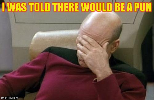 Captain Picard Facepalm Meme | I WAS TOLD THERE WOULD BE A PUN | image tagged in memes,captain picard facepalm | made w/ Imgflip meme maker